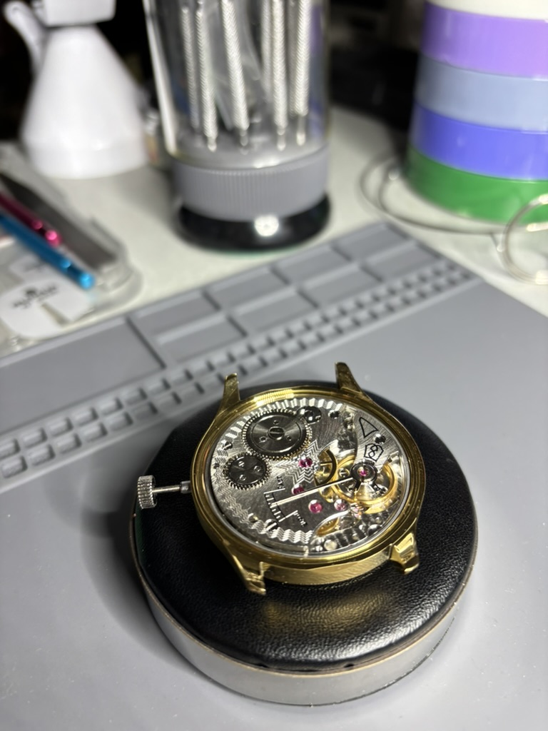 Skeletni mehanizem z zobniki in rubini